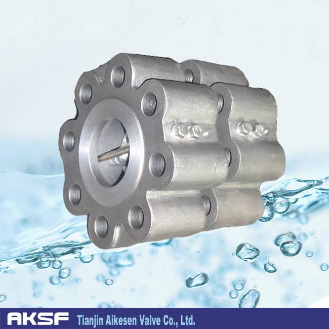 Stainless Steel/ Carbon Steel Lug Type Wafer Check Valve