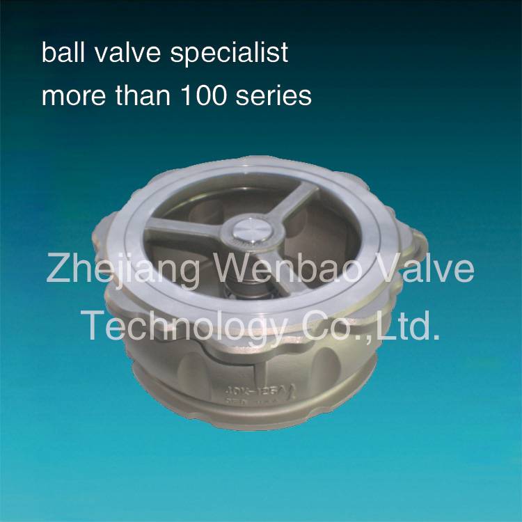 Wafer Type Stainess Steel Spring Loaded Lift Check Valve